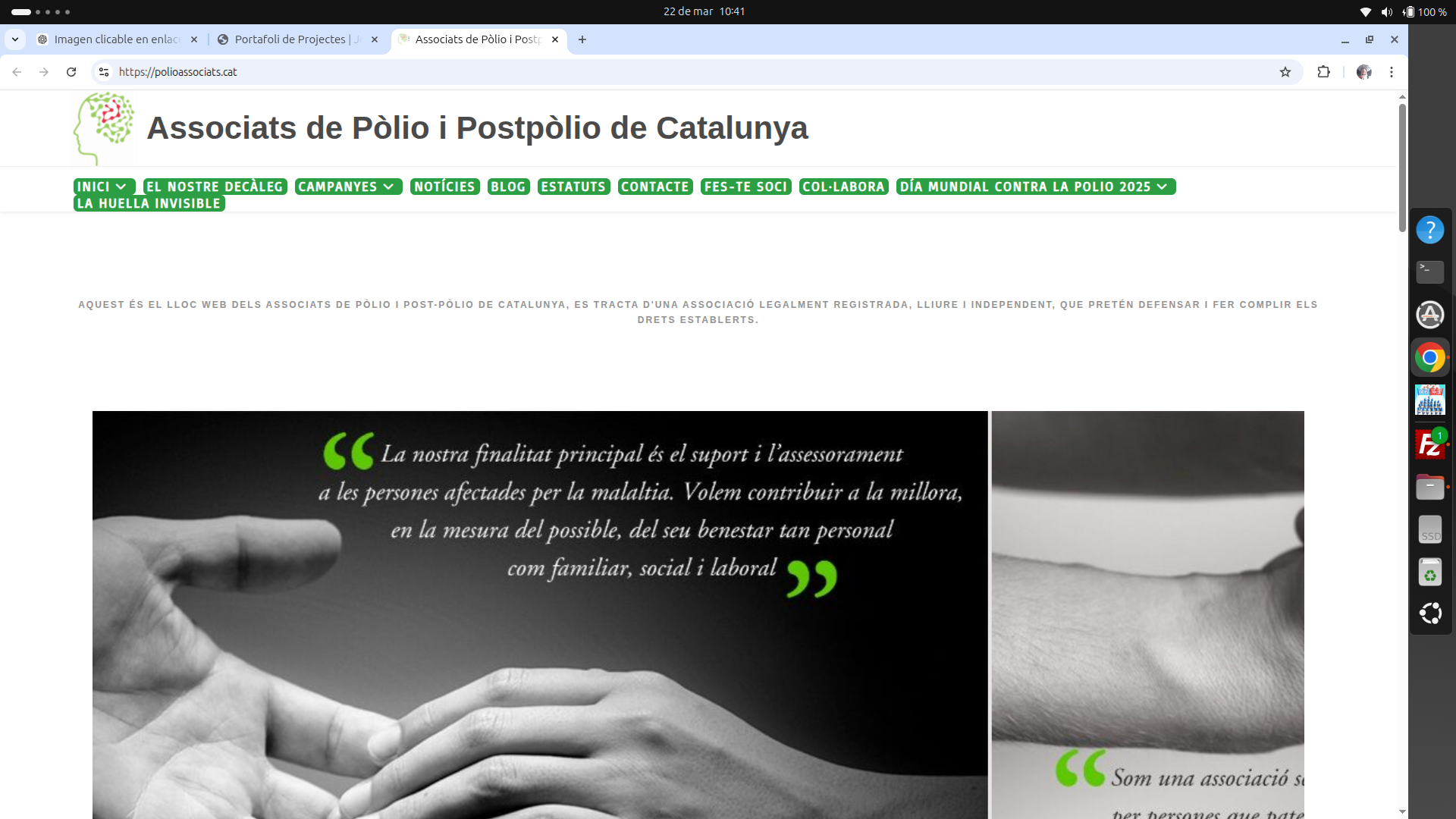 Portada del web Projecte Polio